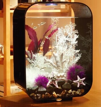 東莞有機玻璃行情分析